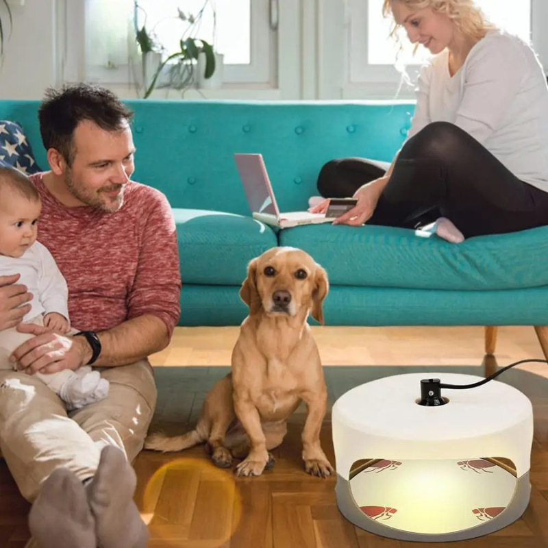 CalmCatch | Insektenfalle und -fänger für Innenräume mit Klebeflächen Decorique.de