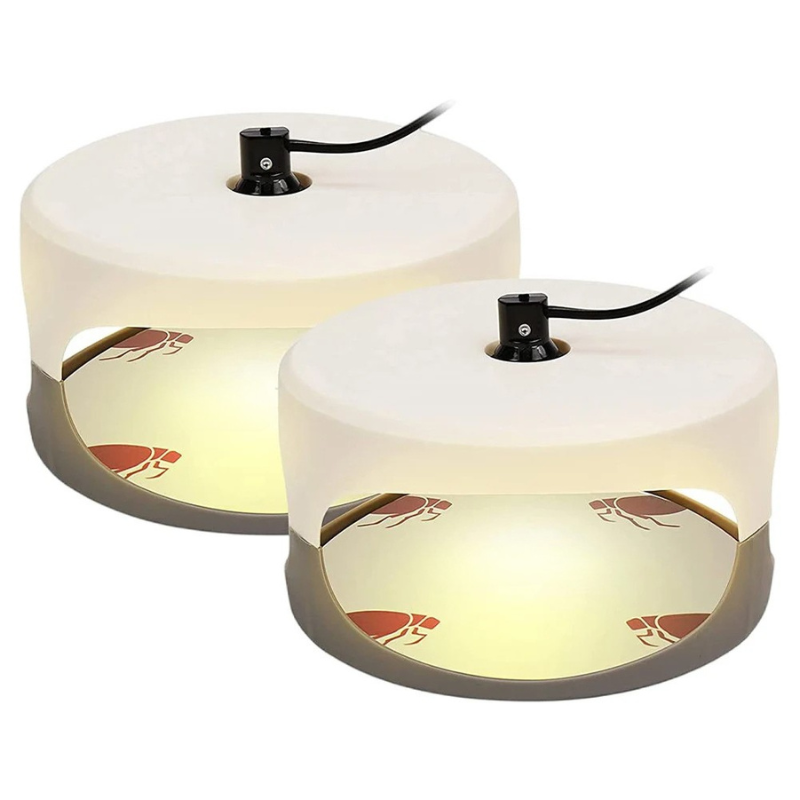 CalmCatch | Insektenfalle und -fänger für Innenräume mit Klebeflächen Decorique.de