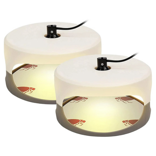 CalmCatch | Insektenfalle und -fänger für Innenräume mit Klebeflächen Decorique.de