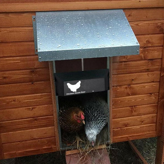 ChickenGuard | Hühnerklappe – Automatischer Betrieb & Wasserdicht