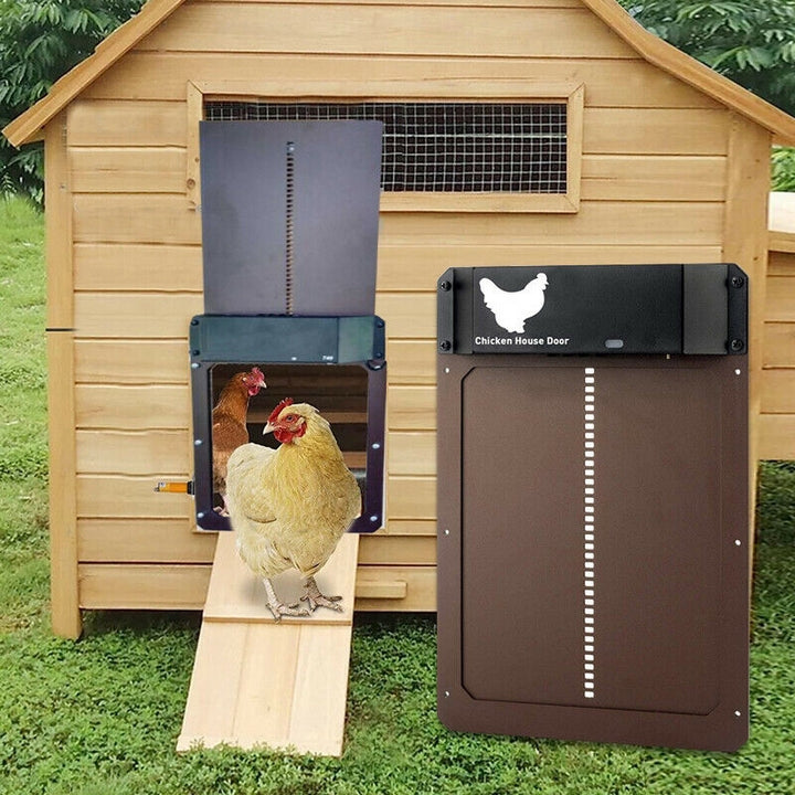 ChickenGuard | Hühnerklappe – Automatischer Betrieb & Wasserdicht Decorique.de
