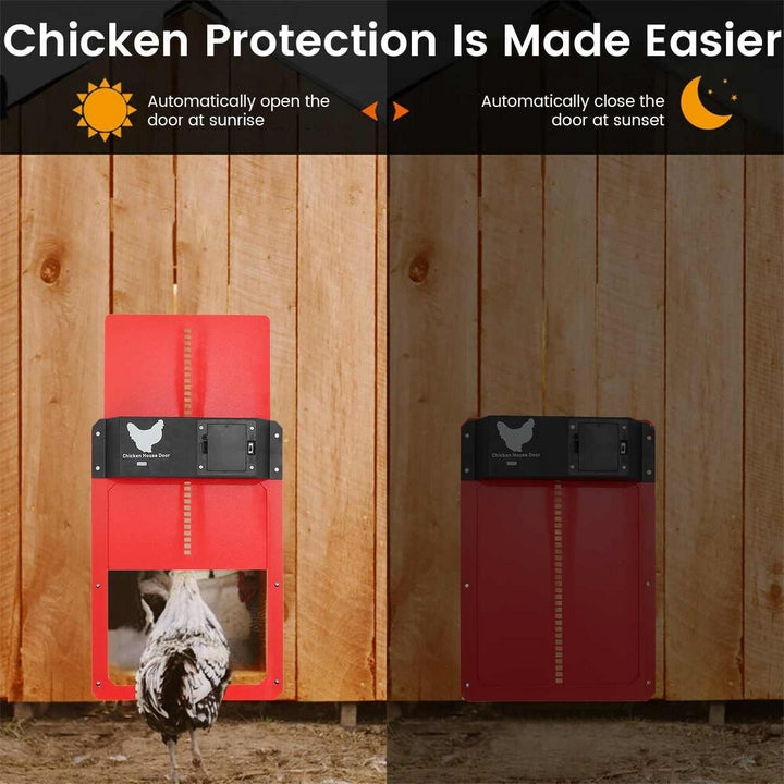 ChickenGuard | Hühnerklappe – Automatischer Betrieb & Wasserdicht Decorique.de