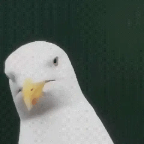 ClearSight | 600x Ultra-Zoom Monokular – Leicht, Kompakt & Wetterfest Decorique.de