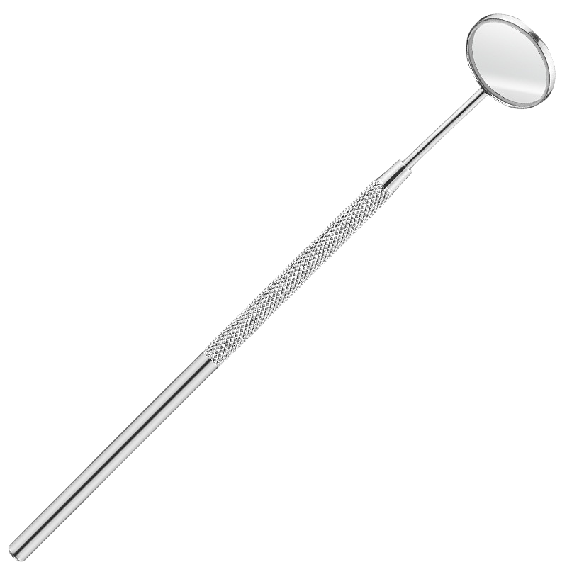 Dentaclean | Edelstahl Dental-Explorer & Spatel Intraoral Camera Decorique.de