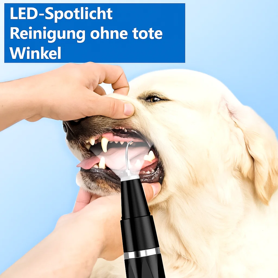 DentaPet | Professioneller Plaque Remover – Für Hunde & Katzen Decorique.de