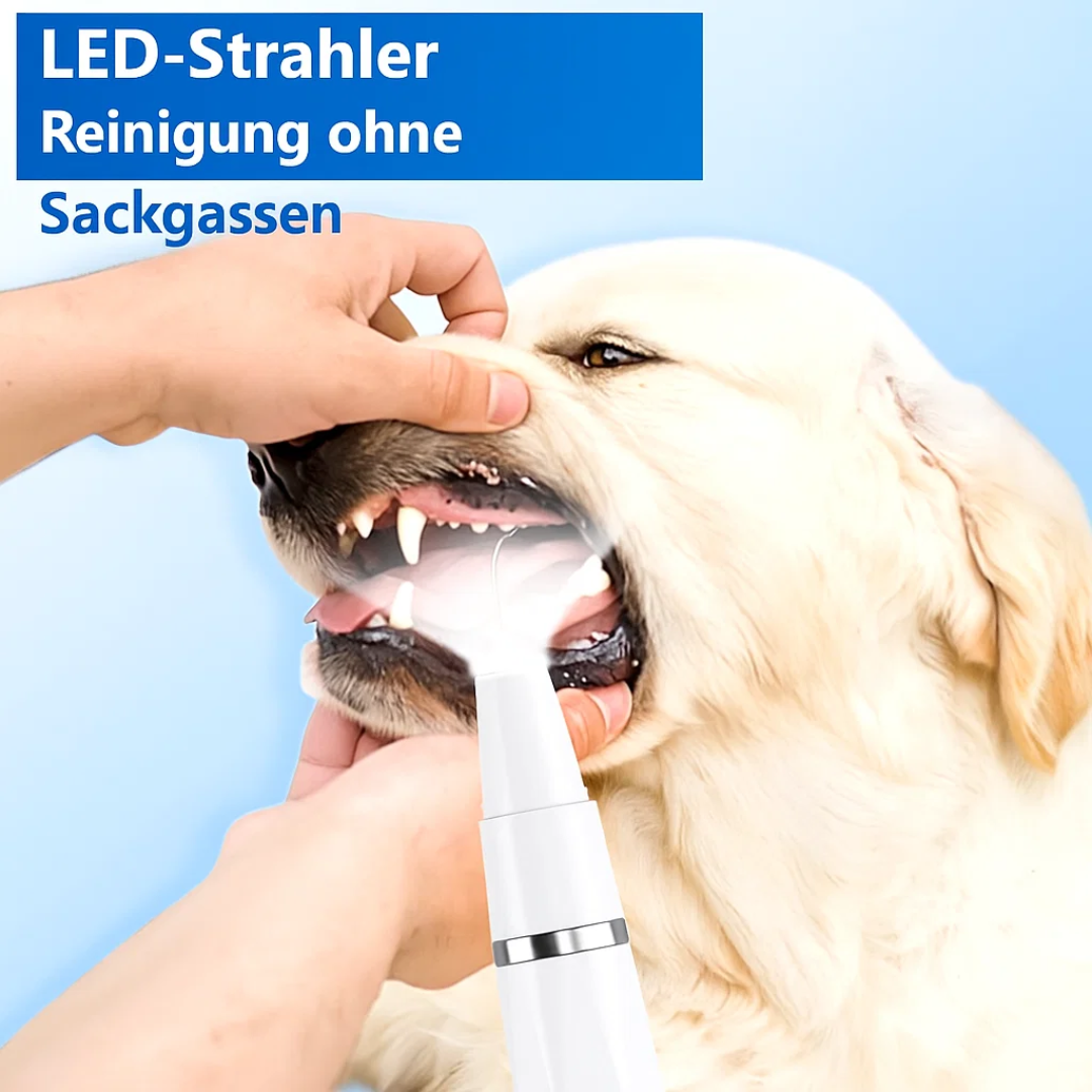 DentaPet | Professioneller Plaque Remover – Für Hunde & Katzen Decorique.de