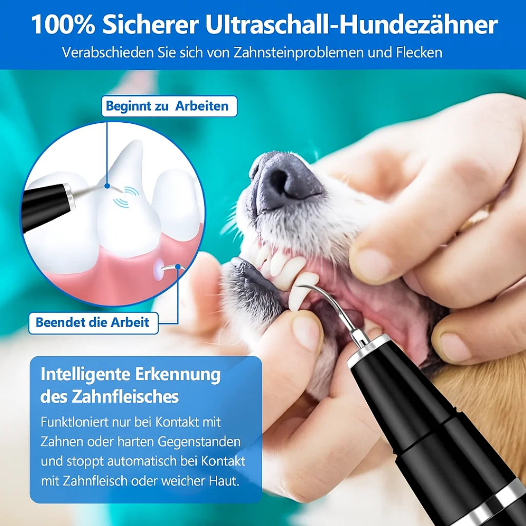 DentaPet | Professioneller Plaque Remover – Für Hunde & Katzen Decorique.de