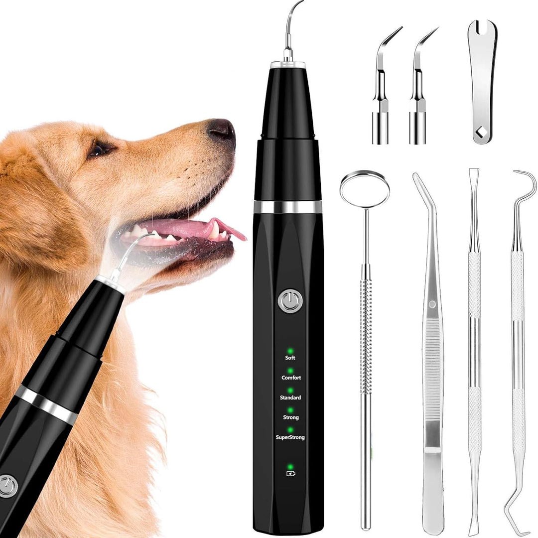 DentaPet | Professioneller Plaque Remover – Für Hunde & Katzen Schwarz Decorique.de