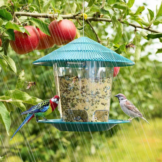 SeedFlow | Hängender Vogelfutterspender mit automatischem Saatgutspender