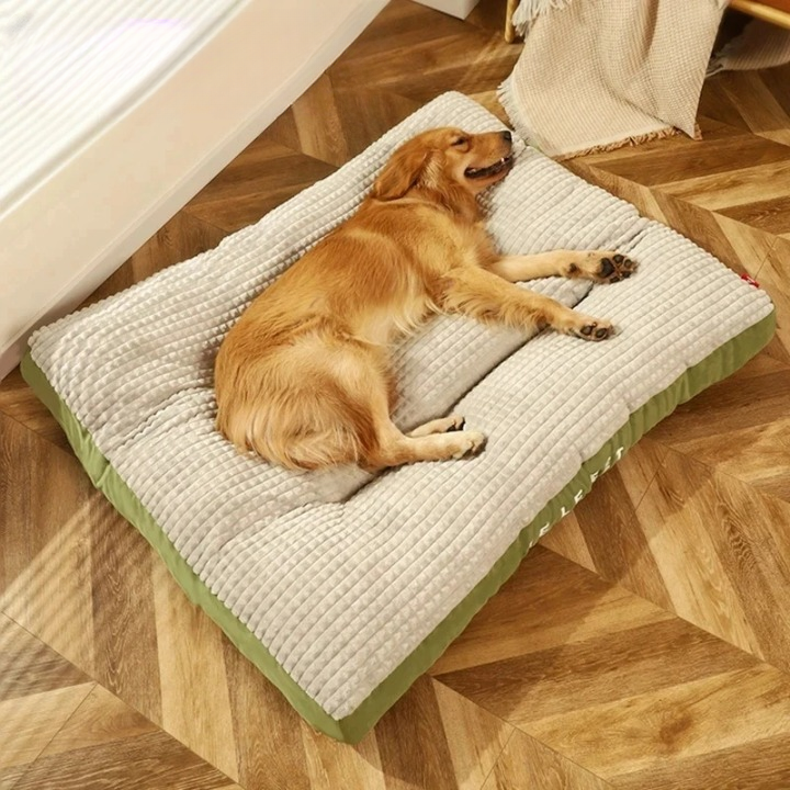 DreamPaws | Orthopädisches Hundebett für optimale Erholung Grau Decorique.de