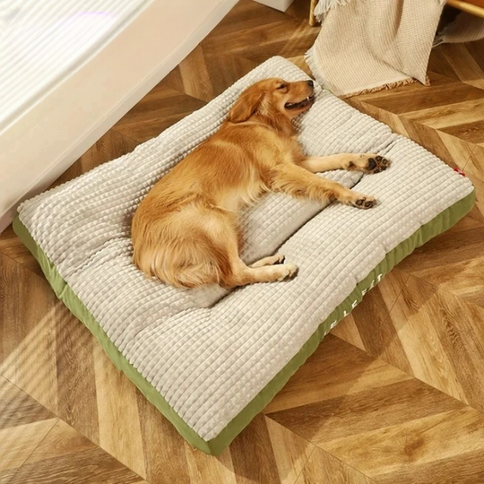 DreamPaws | Orthopädisches Hundebett für optimale Erholung Grau Decorique.de