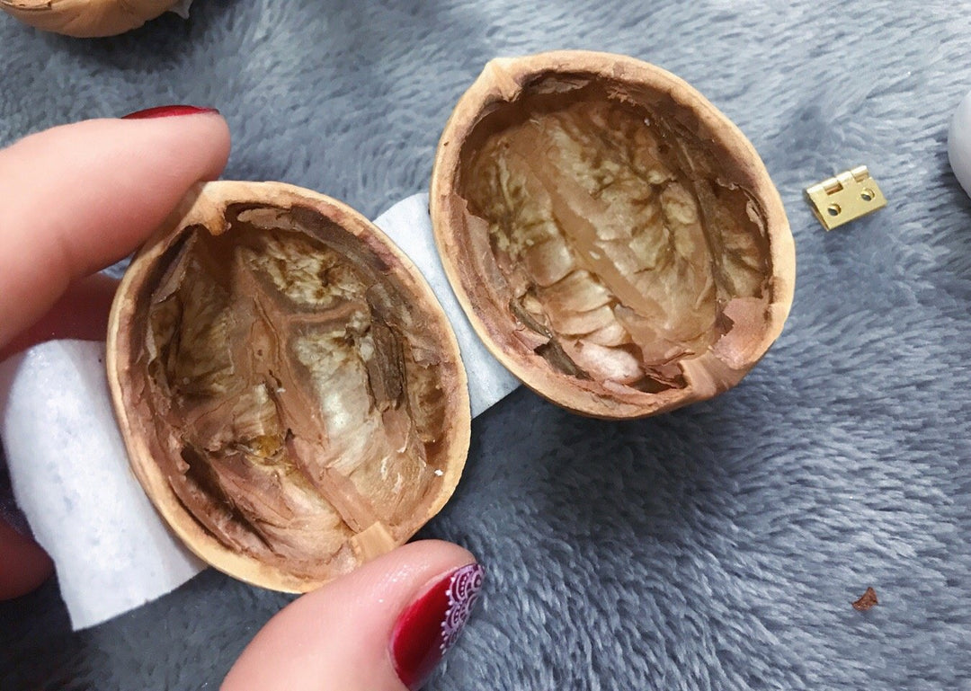 NutCottage | Handgemachtes Minihaus aus Walnussschale – Natürlich & Charmant