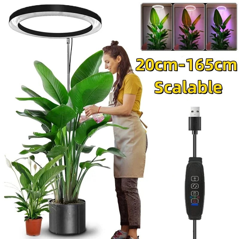 PlantLuxe | Wachstumslicht für Zimmerpflanzen