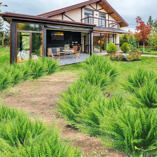 EverFern | Üppiger Künstlicher Bostonfarn für Innen & Außen Decorique.de