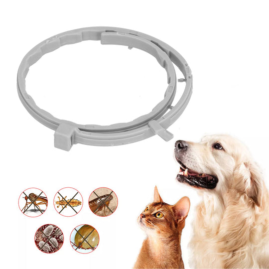 FleaGuard | 8 Monate Zecken- und Flohschutz für Hunde Decorique.de