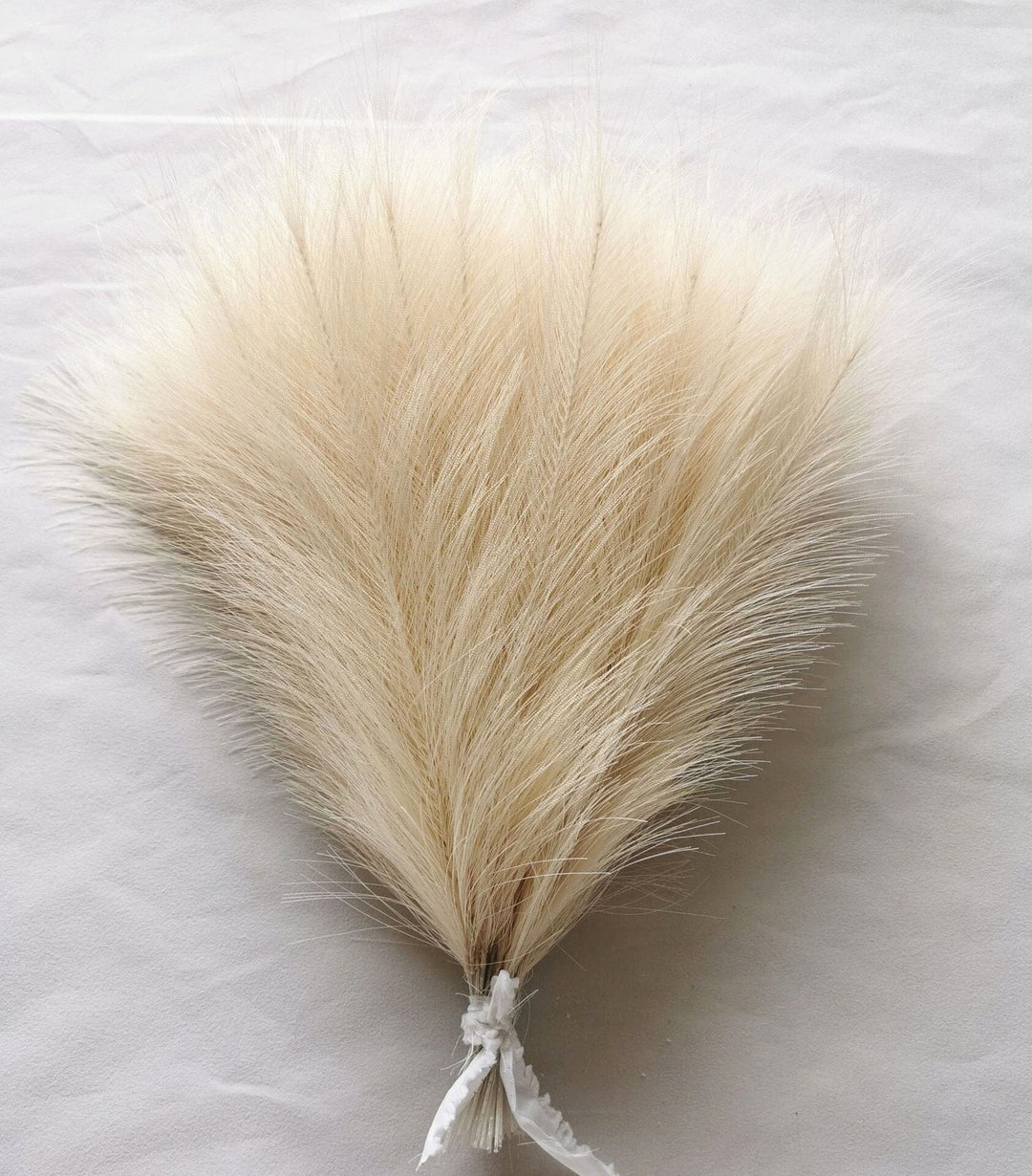 FluffNest | 20 Stück Bohemian Flauschiges Künstliches Pampasgras Bunt Beige 42cm Decorique.de