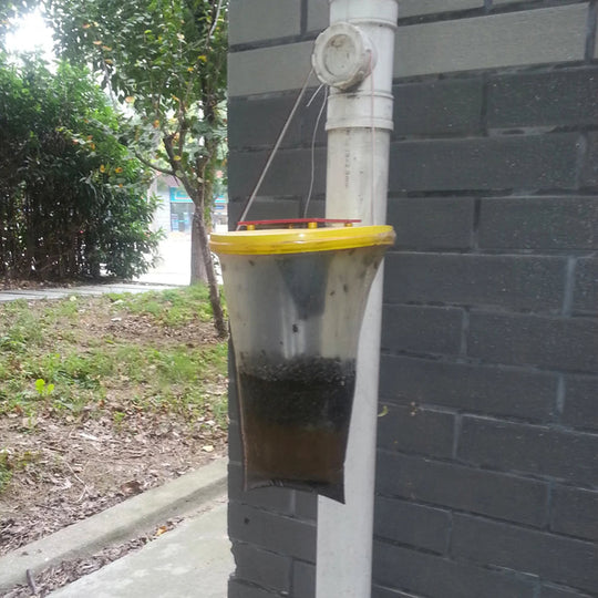 FlyClear | Umweltfreundliche Einweg-Fliegenfalle für den Außenbereich Decorique.de