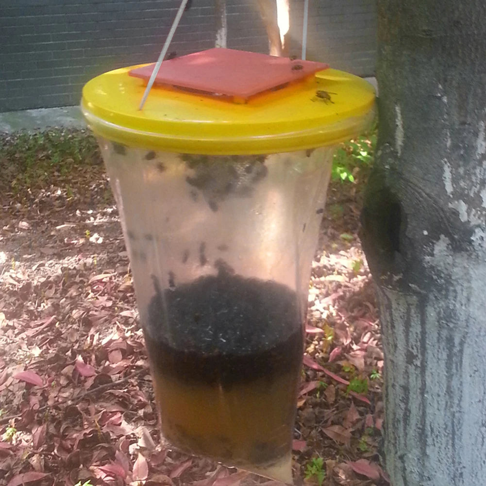 FlyClear | Umweltfreundliche Einweg-Fliegenfalle für den Außenbereich Decorique.de