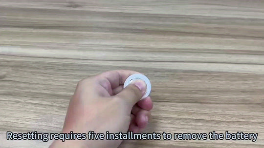 GlobeTag | Smart GPS-Tracker - Weltweite Anti-Verlust-Warnungen Decorique.de