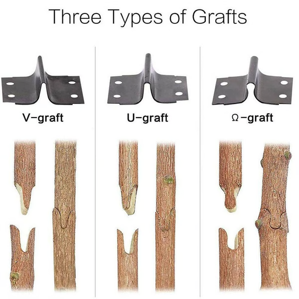 GraftMate | Professionelles Veredelungs- und Schnittwerkzeug Decorique.de