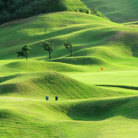 GrassMate | Rasen-Reparaturmatte für kahle Stellen Decorique.de