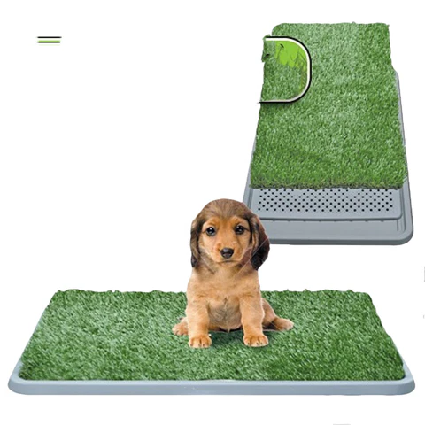 GrassPaws | Realistischer Kunstrasen für Hundetraining Decorique.de