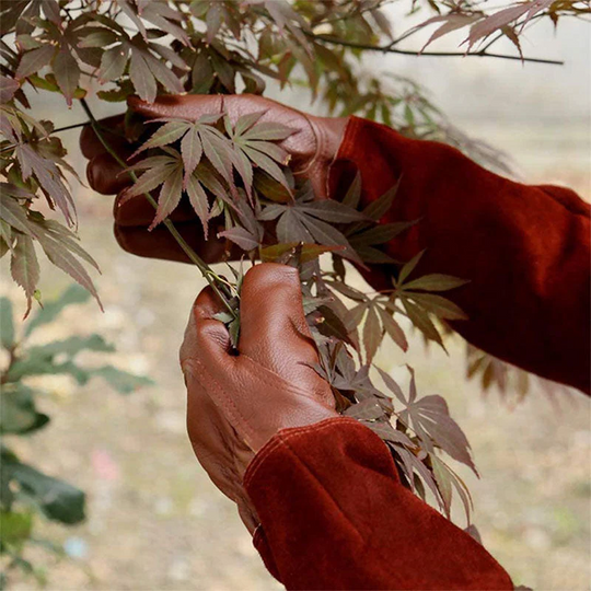 GripBloom | Multifunktionale Gartenhandschuhe Decorique.de