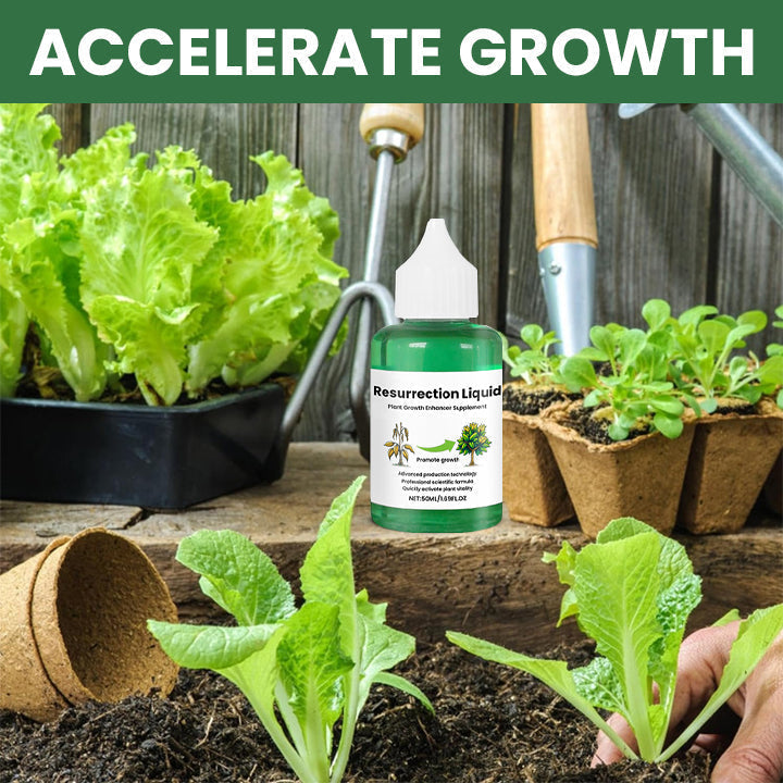 GrowNova | Pflanzen-Elixier – Wiederbelebung & Wachstum in Tagen Decorique.de