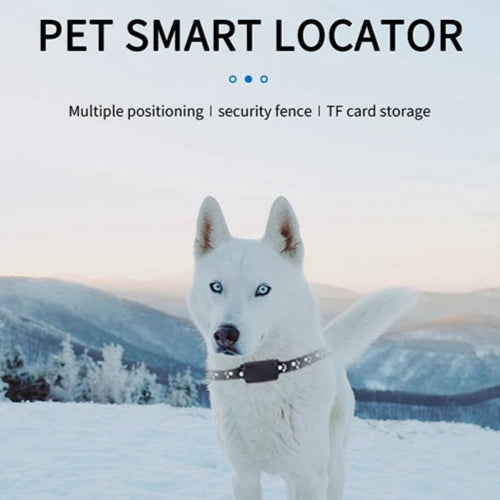 GuardPet | Hunde- & Katzen-GPS mit 12 Monaten Laufzeit Decorique.de