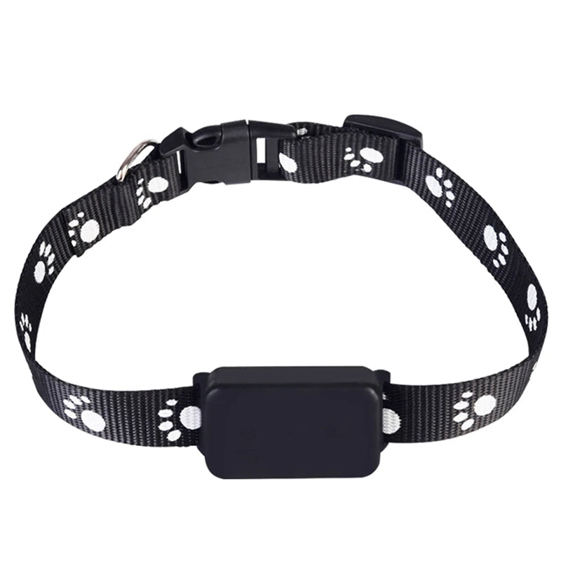 GuardPet | Hunde- & Katzen-GPS mit 12 Monaten Laufzeit Decorique.de