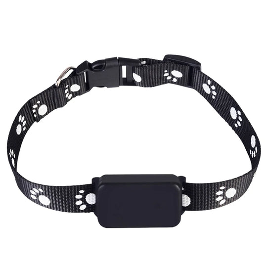 GuardPet | Hunde- & Katzen-GPS mit 12 Monaten Laufzeit Decorique.de