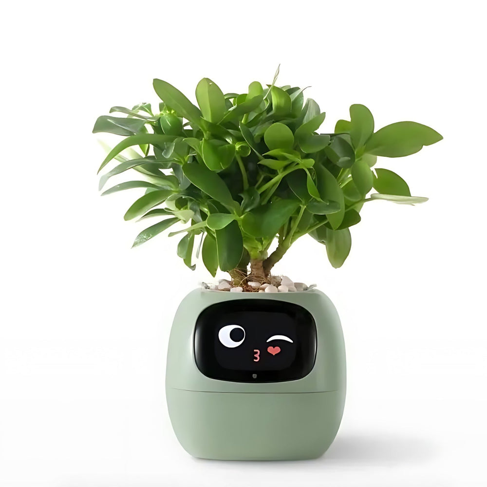 HappyIvy | SMART Blumentopf für automatische Pflanzenpflege Grün Decorique.de