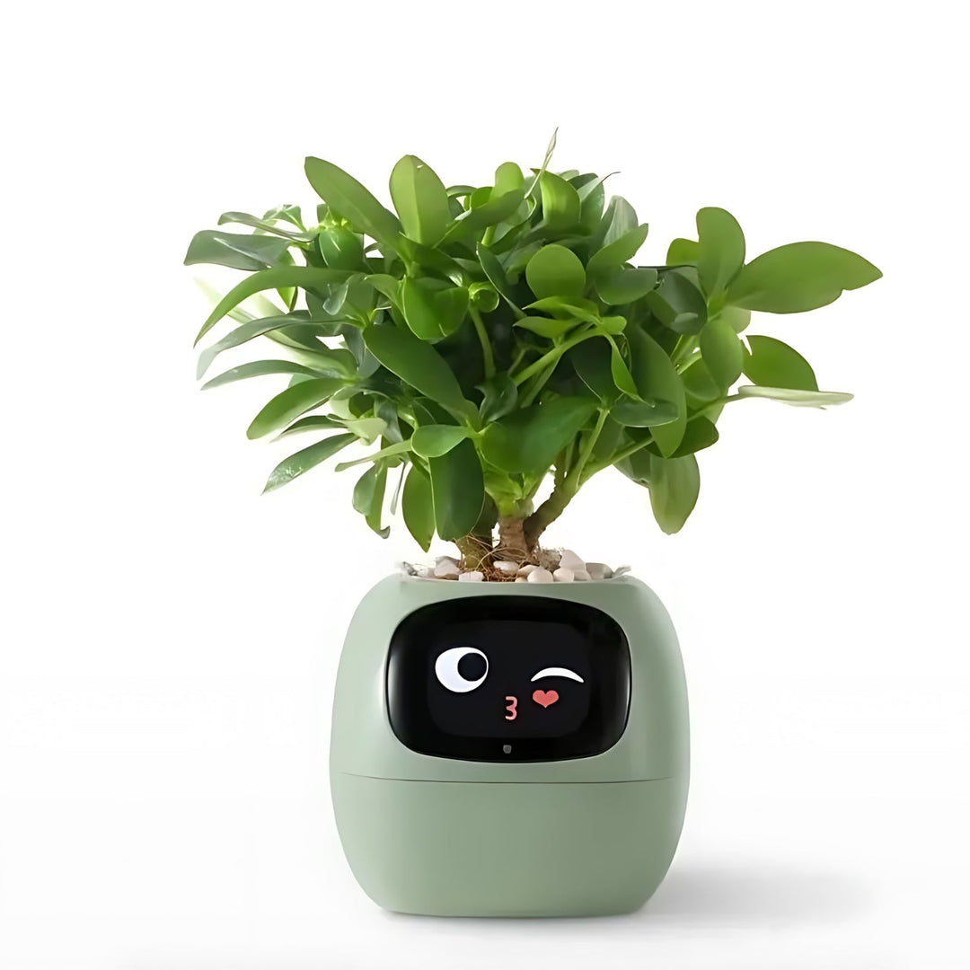 HappyIvy | SMART Blumentopf für automatische Pflanzenpflege Grün Decorique.de