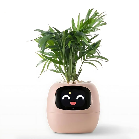 HappyIvy | SMART Blumentopf für automatische Pflanzenpflege Rosa Decorique.de