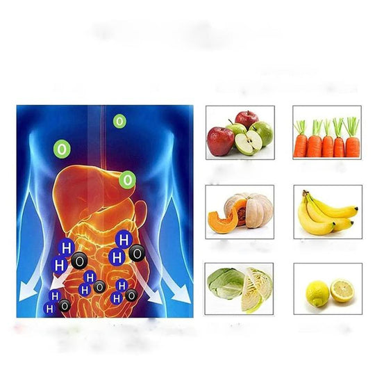 HydroZen | V2 Wasserstoffgenerator Wasserflasche Decorique.de