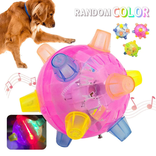 HyperBall | Neuer Springaktivierungsball für Hunde Decorique.de