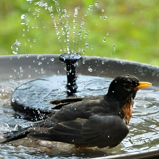 EcoFountain | Outdoor Solar-Wasserbrunnen
