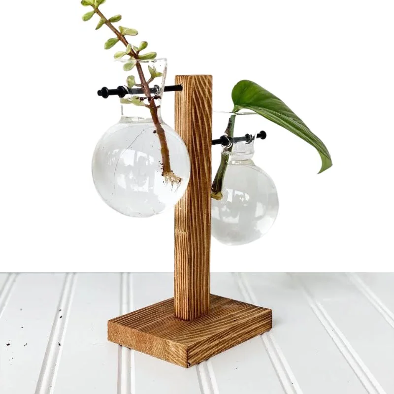 RootFrame | Holzrahmen Hydroponische Pflanzenvase