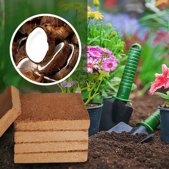 EcoGrow | Bio-Kokosnussfaser für Pflanzen