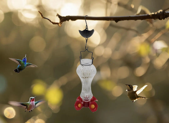 HummiJoy | Blütenförmiger Kolibri-Futterspender mit Ameisenschutz