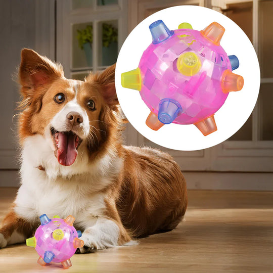 HyperBall | Neuer Springaktivierungsball für Hunde