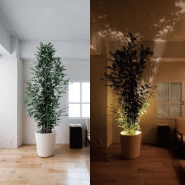 LundLight | Eleganter LED-Projektor mit Fernbedienung Decorique.de