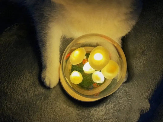 MycoGlow | Einzigartige Pilzlampe Decorique.de