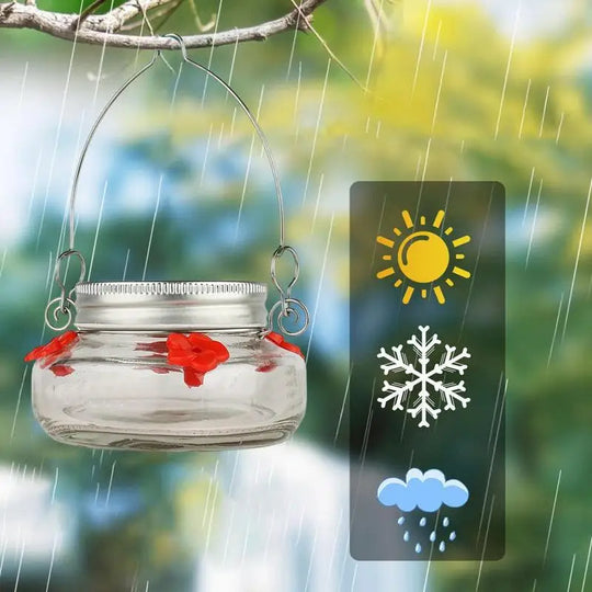 NectarBloom | Klarer Blütenport Kolibri-Futterspender Decorique.de