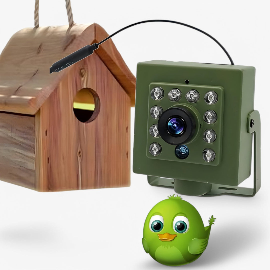 NestCam | WLAN-Kamera – 1080p HD & Wetterfest für beeindruckende Vogelbeobachtungen Decorique.de