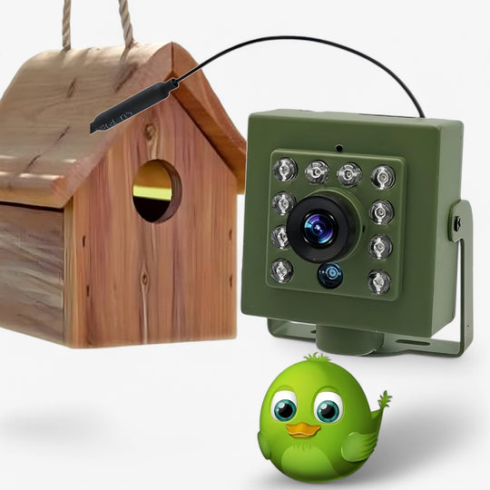 NestCam | WLAN-Kamera – 1080p HD & Wetterfest für beeindruckende Vogelbeobachtungen Decorique.de