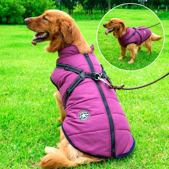 PupCoat | Wasserdichte Winter Hundejacke