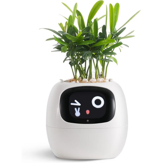 BloomTech | Interaktiver Blumentopf mit Sensorik & LED-Feedback