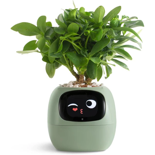 BloomTech | Interaktiver Blumentopf mit Sensorik & LED-Feedback