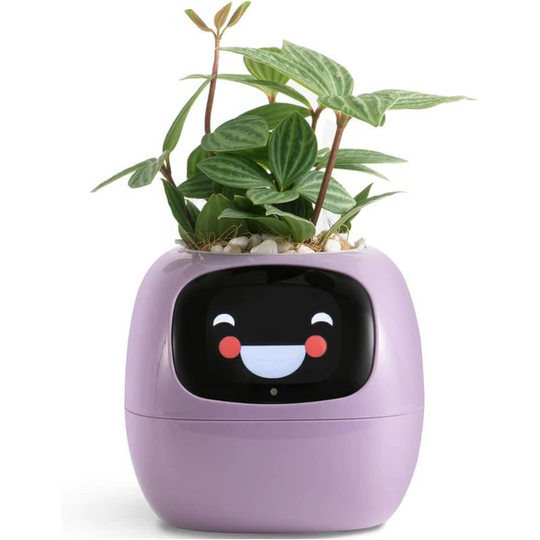 BloomTech | Interaktiver Blumentopf mit Sensorik & LED-Feedback